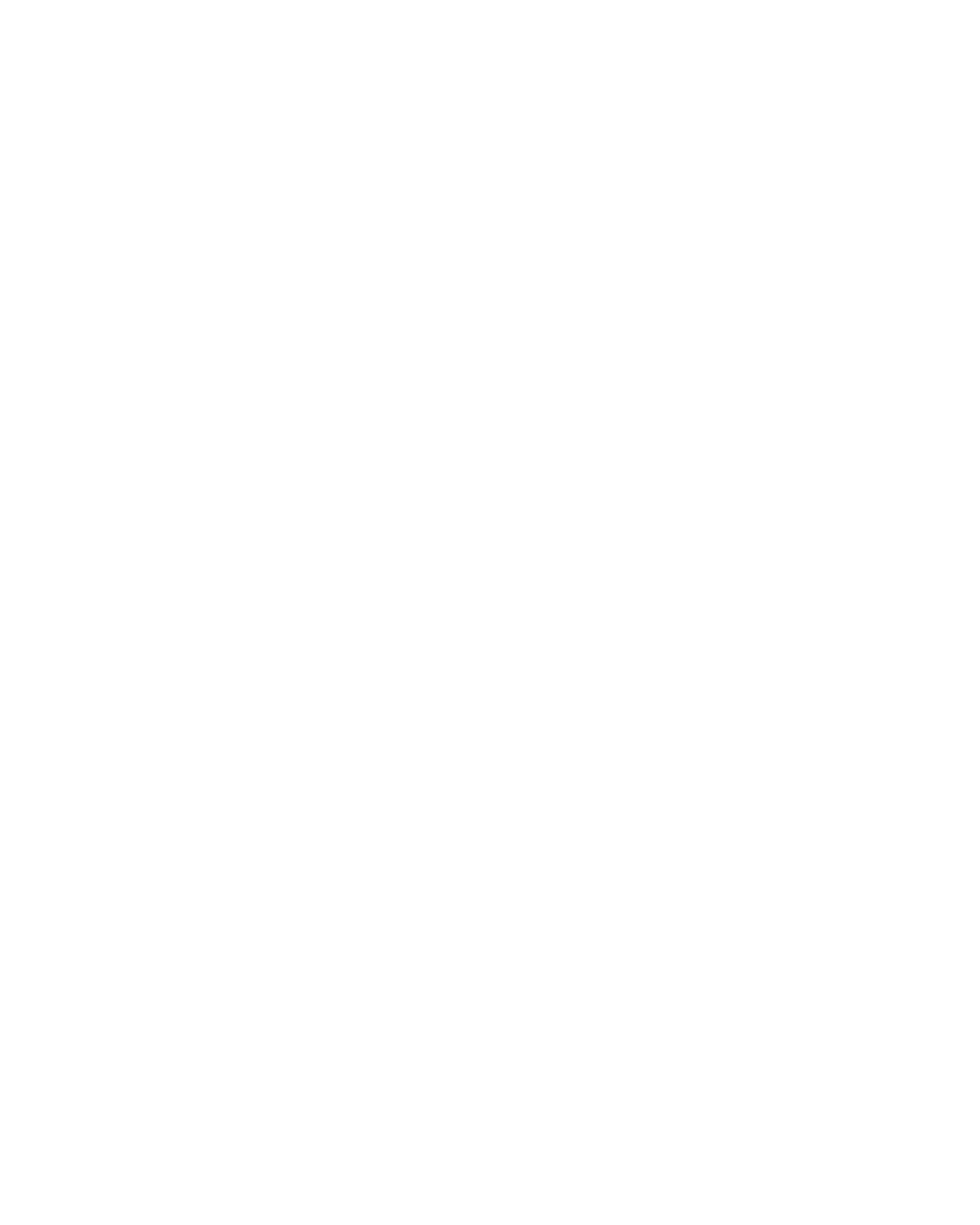 Black Bull 2023/2024